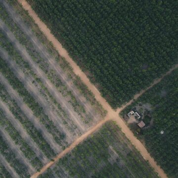 Climate crossroads