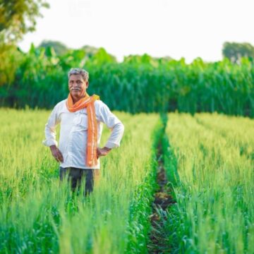 Indian Farmer