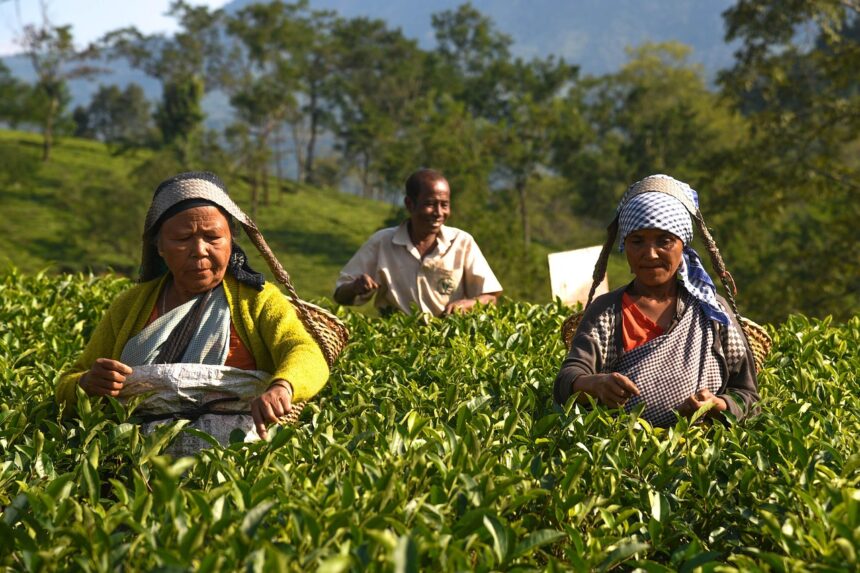 Health Milestone for Meghalaya