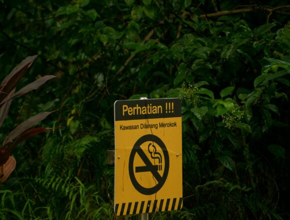 Agra’s Environmental Policies Are We Protecting Our Heritage