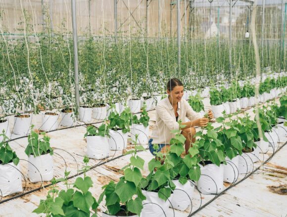 How Uttar Pradesh Is Leveraging Technology for Agricultural Innovation
