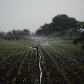 How the Indian Government Is Promoting AI for Smart Water Management Solutions