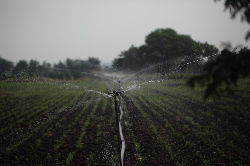 How the Indian Government Is Promoting AI for Smart Water Management Solutions-Wisekhabar How the Indian Government Is Promoting AI for Smart Water Management Solutions