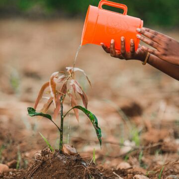 Uttar Pradesh’s Initiatives for Sustainable Development A Roadmap Ahead