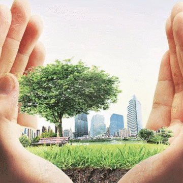 Is Capitalism the Key to Sustainable Development in India