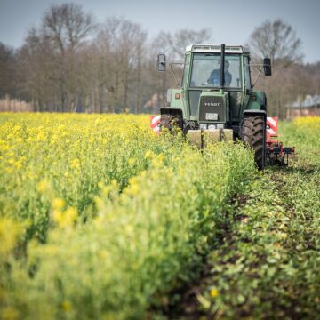 Punjab The Agricultural Backbone—Political Implications Ahead-Wisekhabar Punjab The Agricultural Backbone—Political Implications Ahead