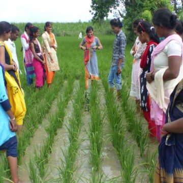 UP’s Youth The Government’s Secret Weapon for Economic Success