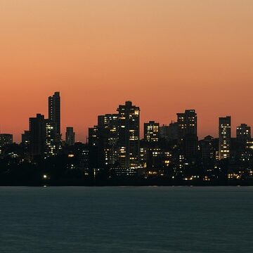 The Power of Capitalism How It Drives India’s Economic Growth